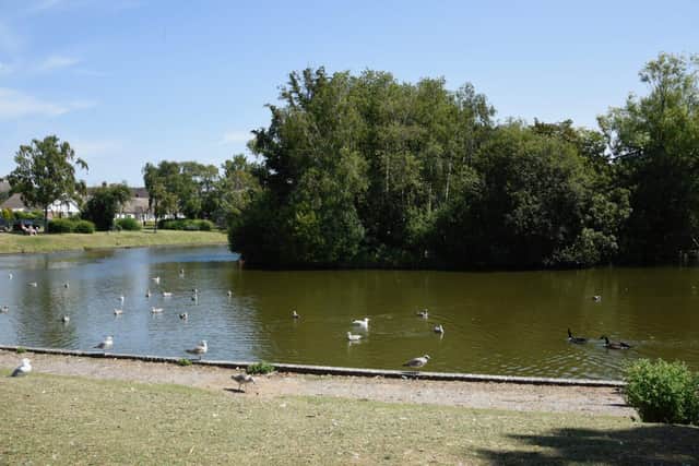 Hailsham Common Pond, Bellbanks Road