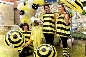 Volunteer 'worker bees' at the Arundel Queen Bee day