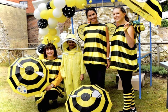 Volunteer 'worker bees' at the Arundel Queen Bee day