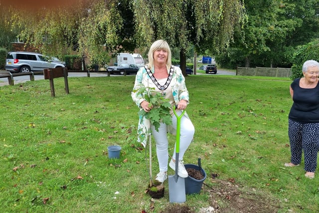 Alison Cooper, Arun District Council chairman, planted the tree at Nightingales Sheltered Housing in Findon Village to commemorate the Coronation of King Charles III