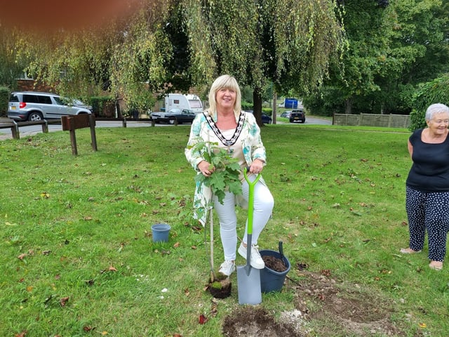 Alison Cooper, Arun District Council chairman, planted the tree at Nightingales Sheltered Housing in Findon Village to commemorate the Coronation of King Charles III