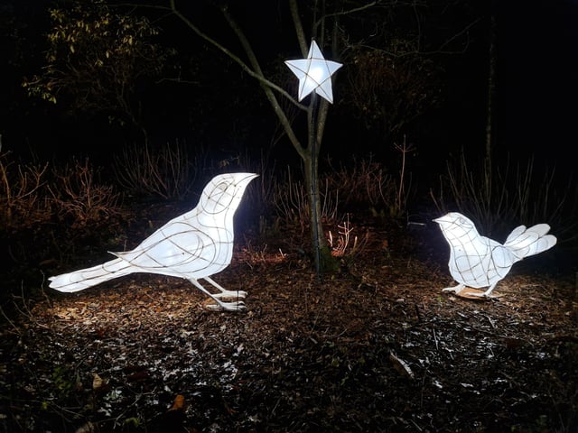 Leonardslee Lights 2024 transports guests into an enchanting world as the gardens come alive with stunning illuminations, captivating large-scale installations, mesmerising fountains and more