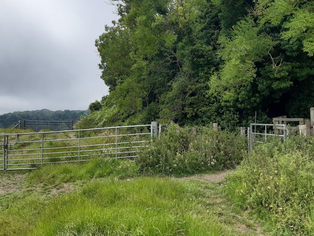 You come to a set of gates and it is here that we leave the University of Sussex Boundary Walk and head off west to Stanmer.