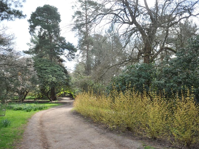 Spring blooms at Sheffield Park and Garden National Trust property