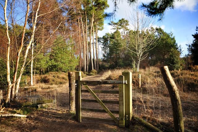 Anger is being voiced after Horsham District Council announced the closure of the Middle Heath area of Owlbeech Woods to the public permanently . Pic S Robards SRSR23013001