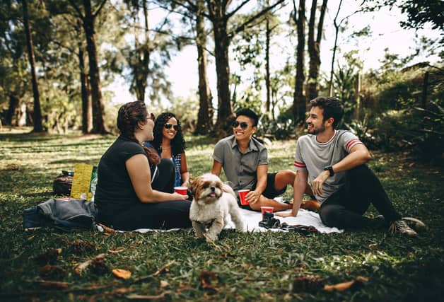 International Picnic Day
