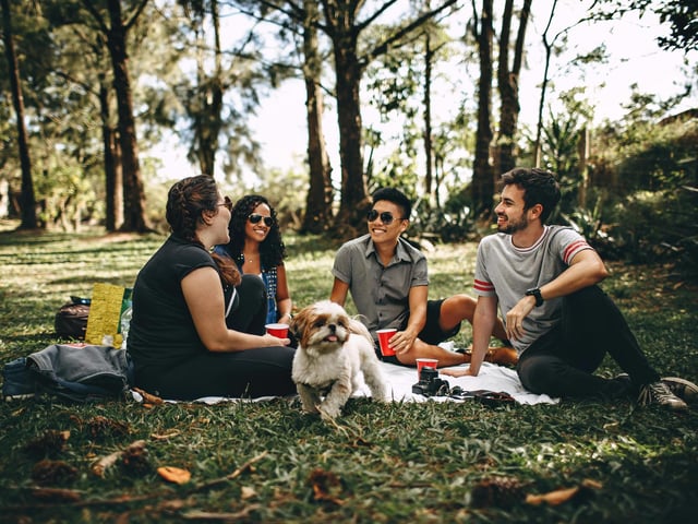 International Picnic Day