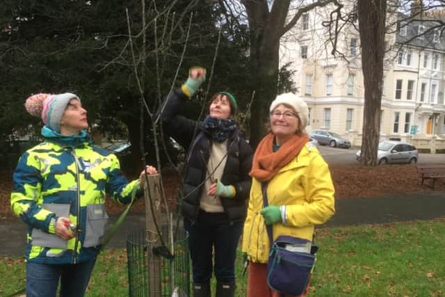 Apple expert Sassie Yasamee, Councillor Amanda Jobson and local resident Emma Harding pruning the apple trees to prepare for the wassail.