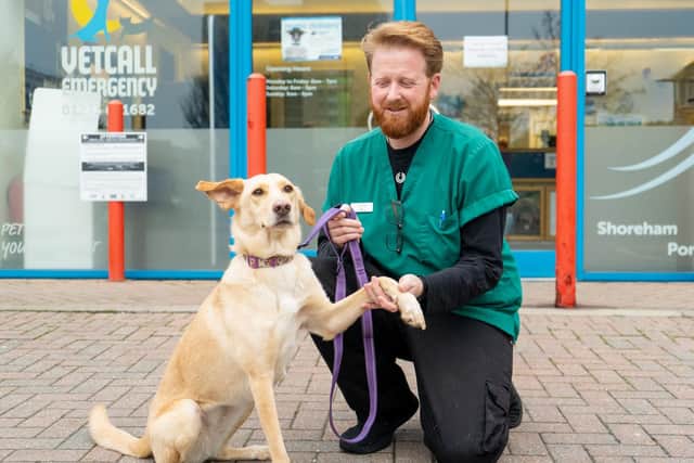 Spanish rescue dog Barley is now a 'perfect patient', Coastways Vets said.