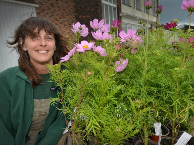 Hastings Garden Festival 2024 on June 30.