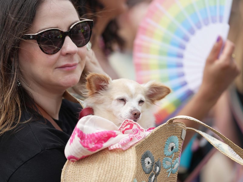 Brighton Pride 2024 takes place on Saturday and Sunday, August 3-4