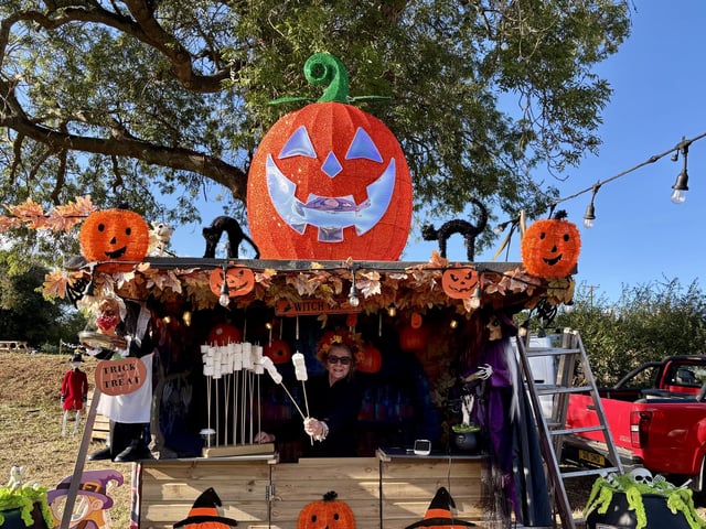 A popular pumpkin patch in Rogate has returned, with visitors invited to pick pumpkins and explore a range of autumn-themed activities.