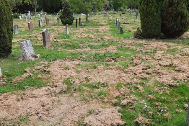 Another Horsham resident said she was ‘disappointed and angry’ at how unkept the area around her parents grave is.