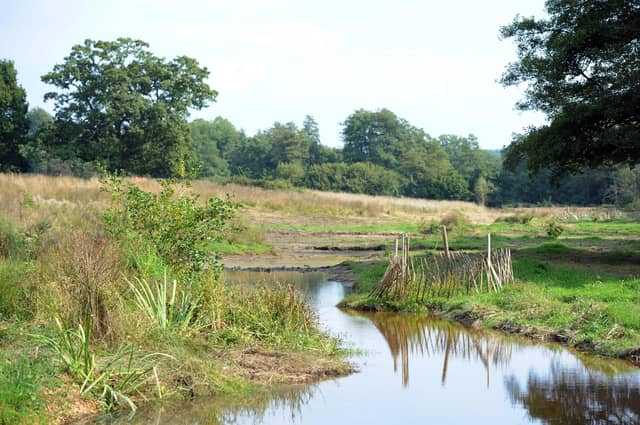 Chesworth Farm, Horsham. Photo by Steve Cobb
