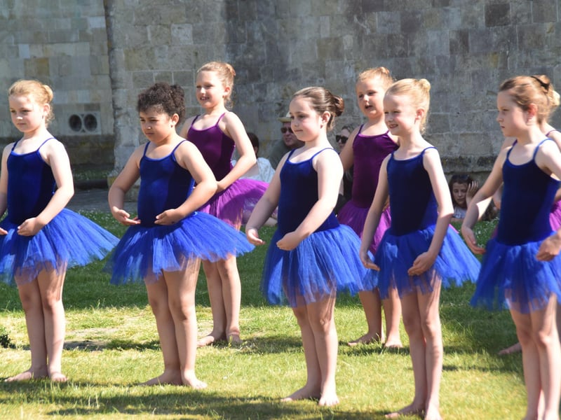 Festival of Chichester launch