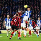 Brighton travel to the Vitality Stadium to face relegation-threatened Bournemouth tomorrow night, less then three days after their last game. (Photo by Bryn Lennon/Getty Images)
