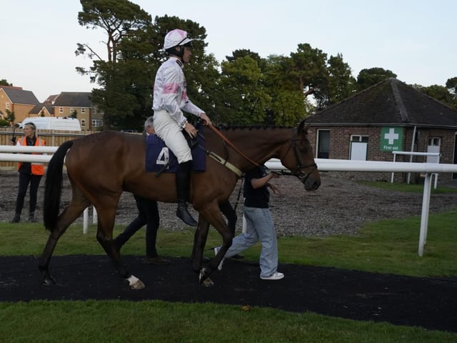 Evening racing at Fontwell Park, June 2025