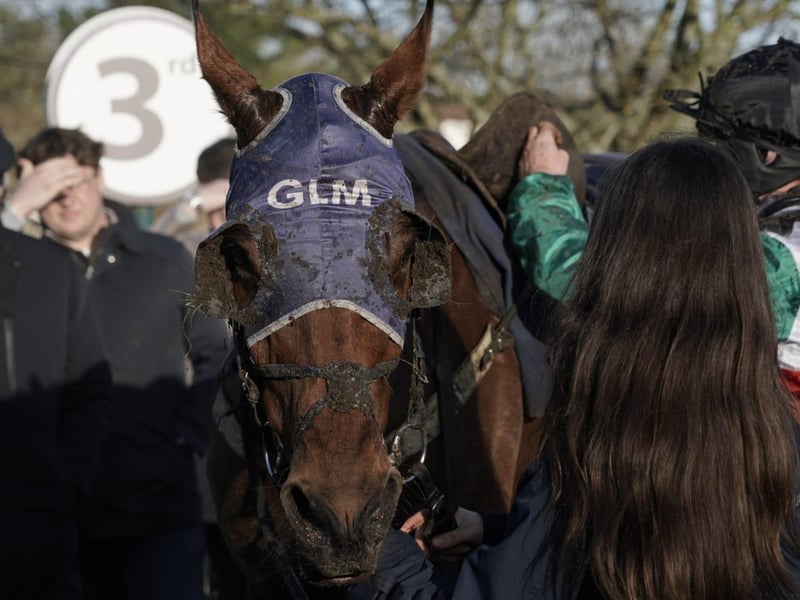 National Spirit Hurdle race day 2026 at Fontwell Park