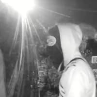 Police investigate burglary in Worthing