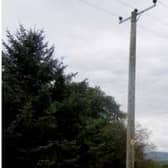 An overhead power line similar to that with which Mr Gilmore came in contact. Photo: HSE
