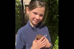 Gracie Smith, 10, converted her Wendy house in Cuckfield into a space for rehabilitating birds, hedgehogs and mice