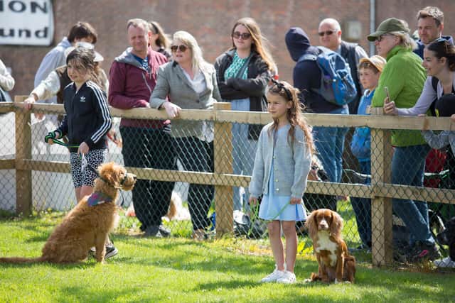 Spring Live! 2023 at the South of England Showground in Ardingly has competitions like the Alpaca Show, the Sheep Show, and a fun dog show
