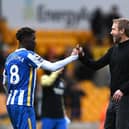Brighton and Hove Albion head coach Graham Potter has steered his team to an impressive 44 points in the Premier League following their 3-0 win at Wolves