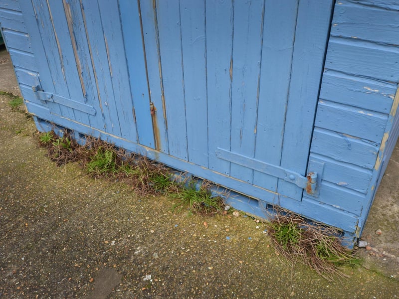 Beach hut tenants in West St Leonards are furious about the condition of their huts.