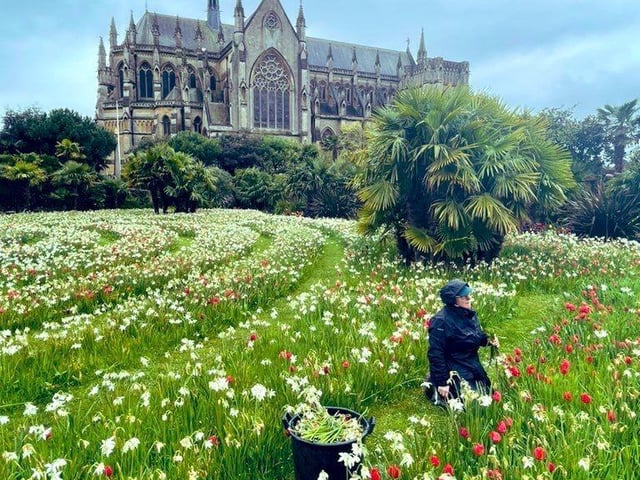 Arundel Castle will host the Plant Fairs Roadshow during their tulip festival