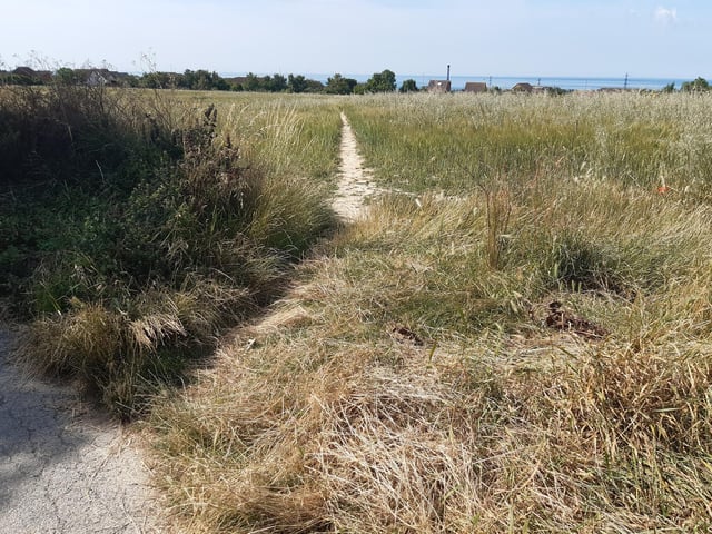 Just south of the tower is a diagonal path through the field which takes you to Fox Way