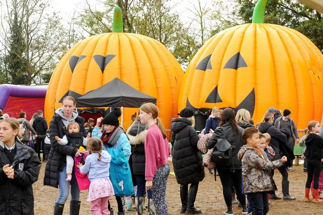 Rogate Pumpkin Patch has a number of attractions and games
Picture: Sarah Standing (251023-2200)