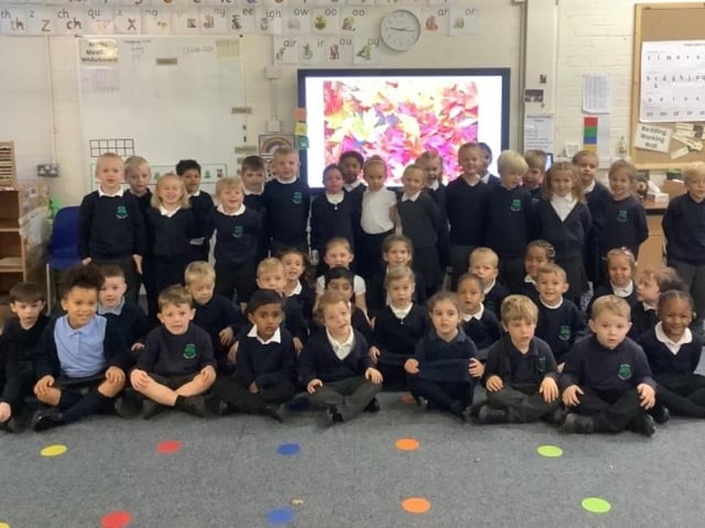 The Oaks Primary - Hedgehogs and Squirrels