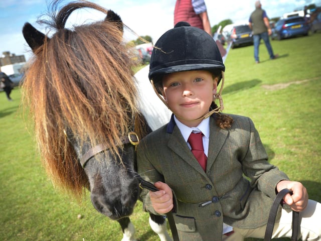 Bexhill Horse & Dog Show 2024.