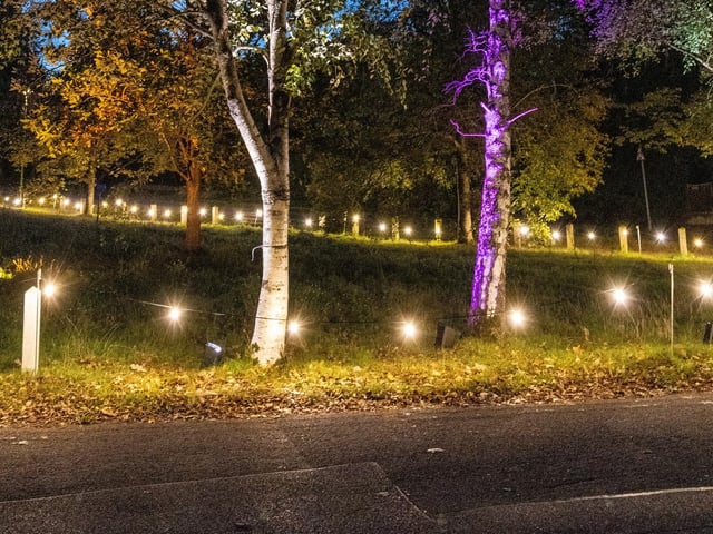 Shine Bright 2024 in Lindfield