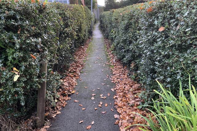 Alleyway between Hoad's Wood Road and Pilot Road in Hastings. Photo: Entrance to the alleyway from Hoad's Wood Road.