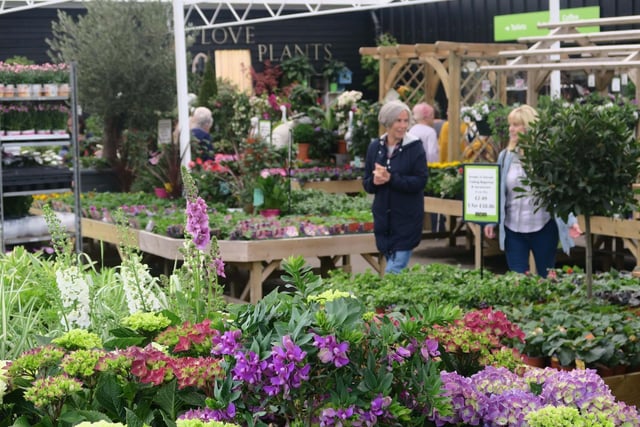 Findon Vale Garden Centre said the aim for the new business is to 'become a place of well-being within the community' offering 'great attention to detail and retail quality as well as a warm welcome'.
