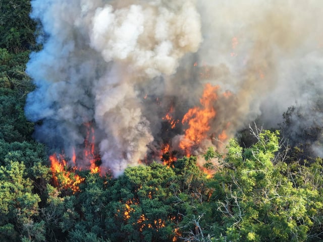 Fire crews worked ‘throughout the night’ to bring a wildfire under control at a beauty spot in Sussex.