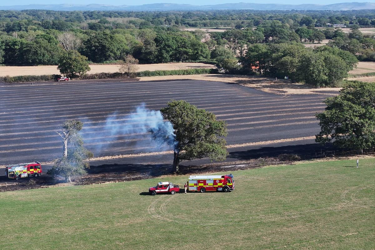 Fotos: Einsatzkräfte eilen zu einem Waldbrand im Bezirk Horsham