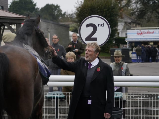 November jump racing at Fontwell Park