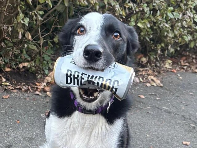 Jess with a can on one of her walks