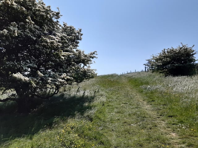 The walk round the ridge ends with another climb uphill