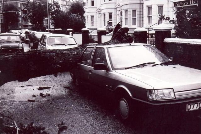 The Great Storm of 1987 in Eastbourne: 21 pictures of the destruction in the town