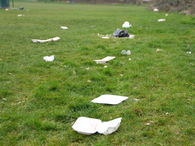 Takeaway rubbish was left behind
