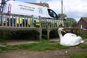 WRAS Ambulance by an injured swan.