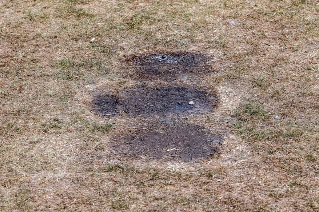 Example of marks on the grass following disposable barbecues