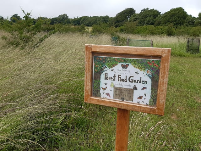 This brings you out to open grassland and the Forest Food Garden that the students have made.