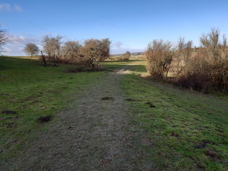 Walk to Cissbury Ring