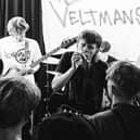 The Veltmans