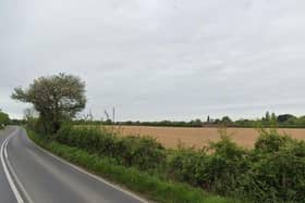 A view of Birdham Road where West Sussex Fire and Rescue Service rescued a large pig from a deep ditch this morning (Thursday, July 13). Picture taken from Google Streetview