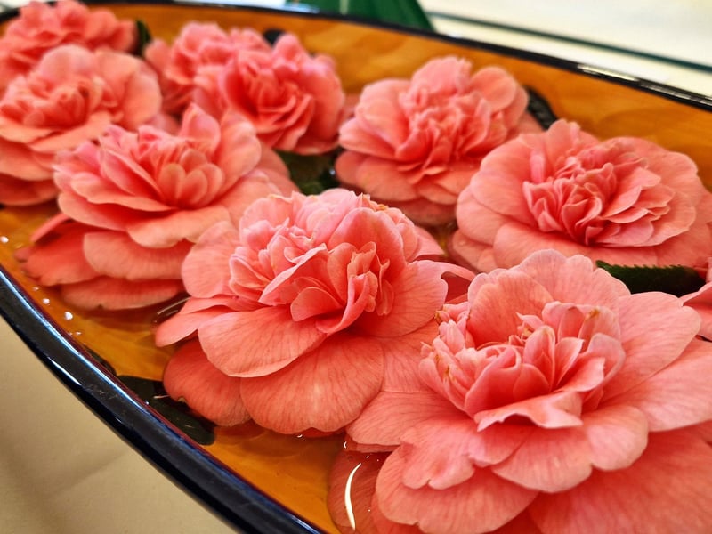 Burgess Hill Horticultural Society Spring Show 2025